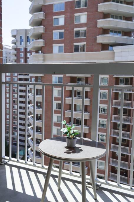 Bright Apartment Walk To Ballston Metro Arlington Eksteriør billede
